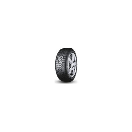 Dayton 205/55 R16 91H DW510 Evo Oto Kış Lastiği ( Üretim Yılı: 2023 )