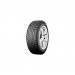 Dayton 205/55 R16 91H Dw510E Kış Lastiği (Üretim Yılı: 2024)